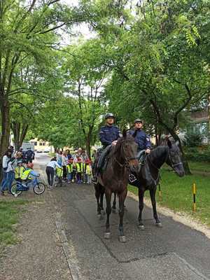 Policjanci na koniach prowadzą rowerowy rajd dzieci przez park