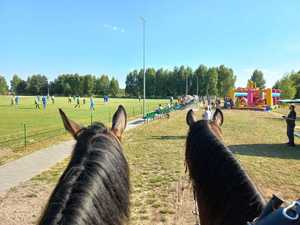 Na pierwszym planie głowy koni służbowych, w tle po lewej boisko sportowe i kilku piłkarzy, po prawej dmuchańce dla dzieci i grupa osób spacerująca wokół nich.