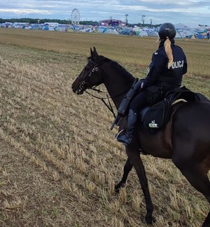 Policjantka na koniu podczas patrolu w terenie