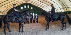 Dwaj jeźdźcy ustawieni do siebie blokują przejście symulowanego tłumu