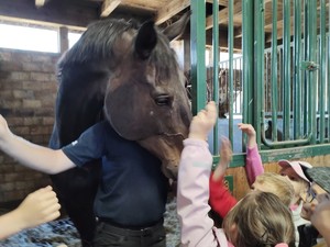 Dzieci głaszczą konia w stajni