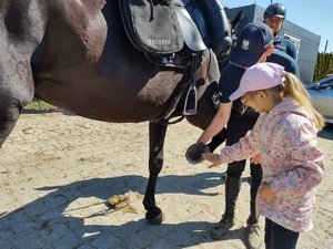 Dziewczynka pod okiem policjantów ogląda i dotyka podkowę konia