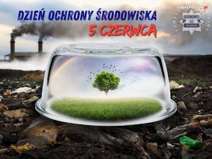 Plakat informacyjny- zdjęcie poglądowe