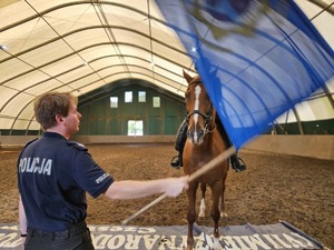 Policjant wymachuje flagą przed koniem na którym siedzi policjantka