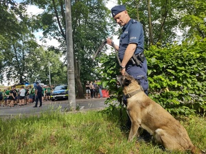 Policyjny przewodnik z psem podczas patrolu