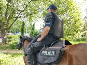 Policjant na koniu podczas zabezpieczenia meczu