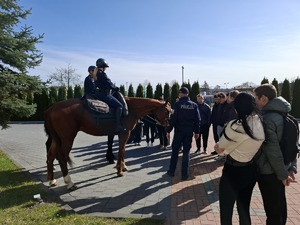 Policyjni jeźdźcy na koniach rozmawiają z kandydatami