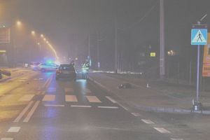 Mgła na mokrej drodze