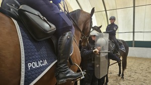 Policjanci stoją przed koniem z tarczami i pałkami