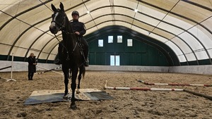 Policjant na koniu podczas egzaminu