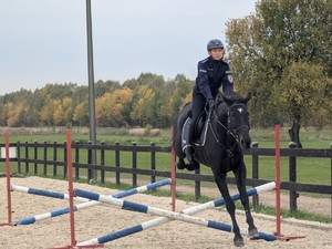 Policjantka na koniu podczas pokonywania przeszkody