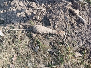 W zieli leżący przedmiot przypominający pocisk arteryjny