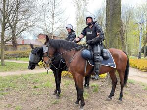 Policjanci na koniach w parku