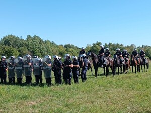 Policjanci podczas ćwiczeń na wierzchowcach